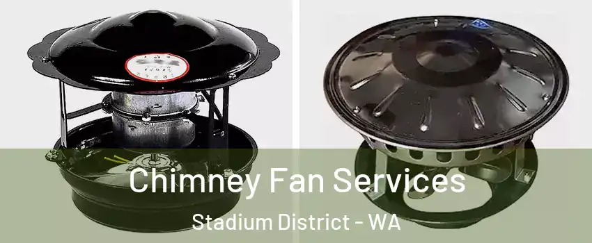 Chimney Fan Services Stadium District - WA