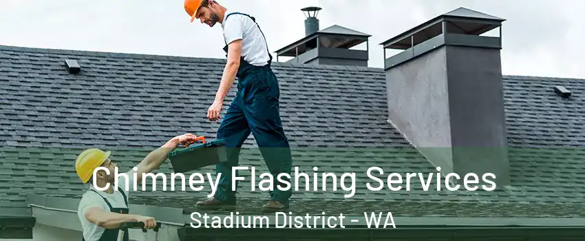 Chimney Flashing Services Stadium District - WA