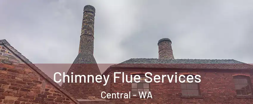 Chimney Flue Services Central - WA