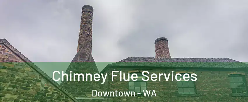 Chimney Flue Services Downtown - WA