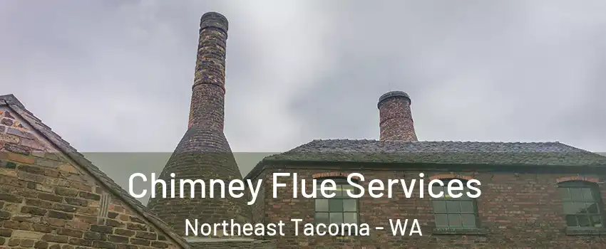 Chimney Flue Services Northeast Tacoma - WA