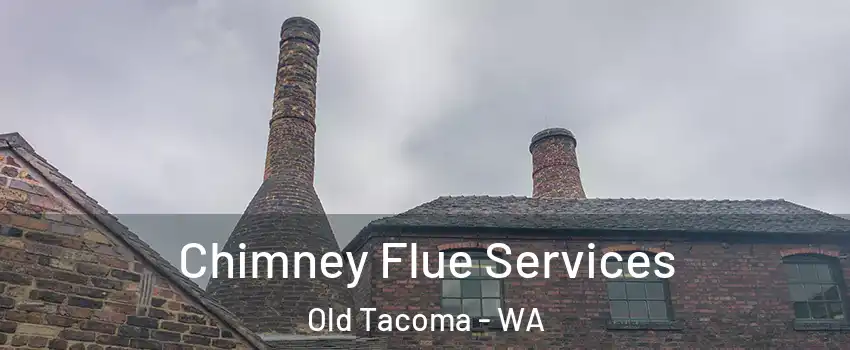 Chimney Flue Services Old Tacoma - WA