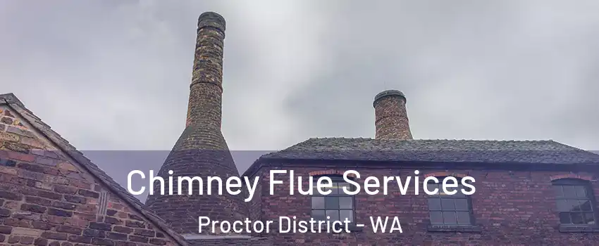 Chimney Flue Services Proctor District - WA