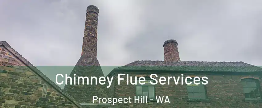 Chimney Flue Services Prospect Hill - WA