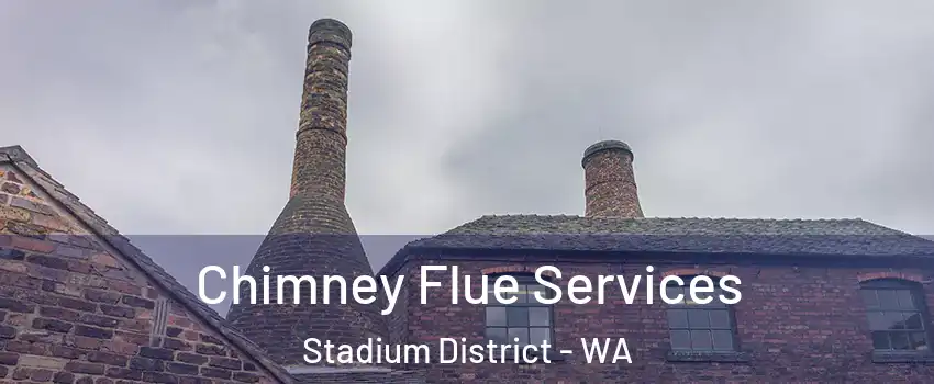 Chimney Flue Services Stadium District - WA