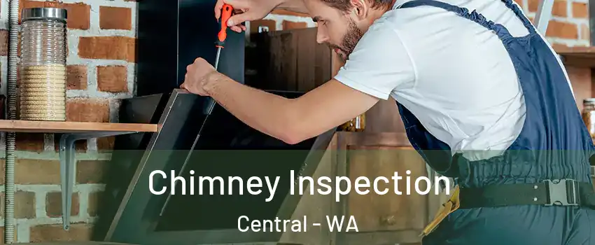 Chimney Inspection Central - WA