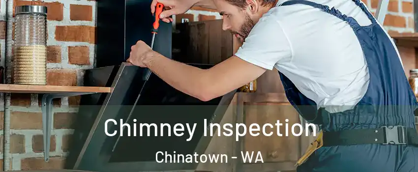 Chimney Inspection Chinatown - WA