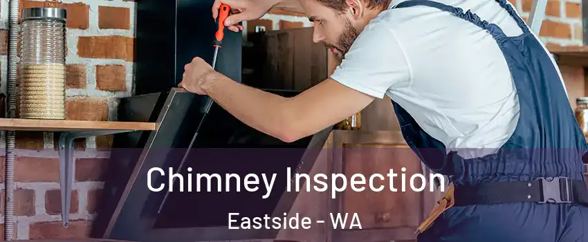 Chimney Inspection Eastside - WA