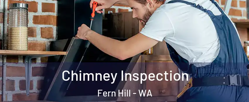 Chimney Inspection Fern Hill - WA