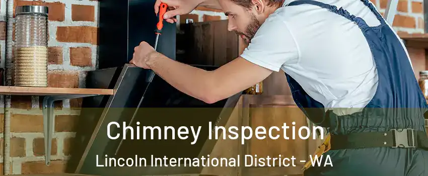 Chimney Inspection Lincoln International District - WA