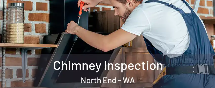 Chimney Inspection North End - WA