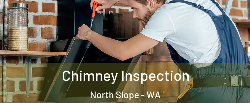 Chimney Inspection North Slope - WA