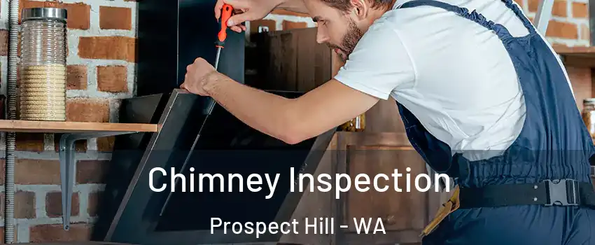 Chimney Inspection Prospect Hill - WA