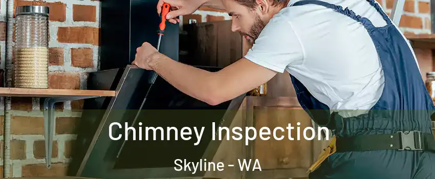 Chimney Inspection Skyline - WA