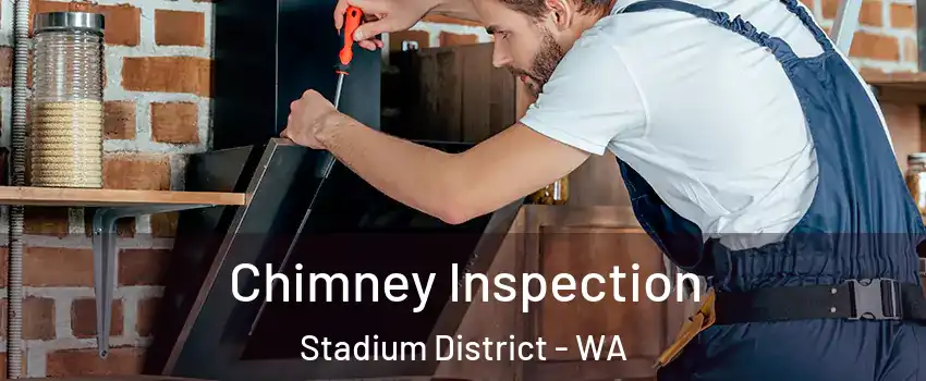 Chimney Inspection Stadium District - WA