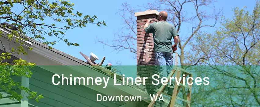 Chimney Liner Services Downtown - WA