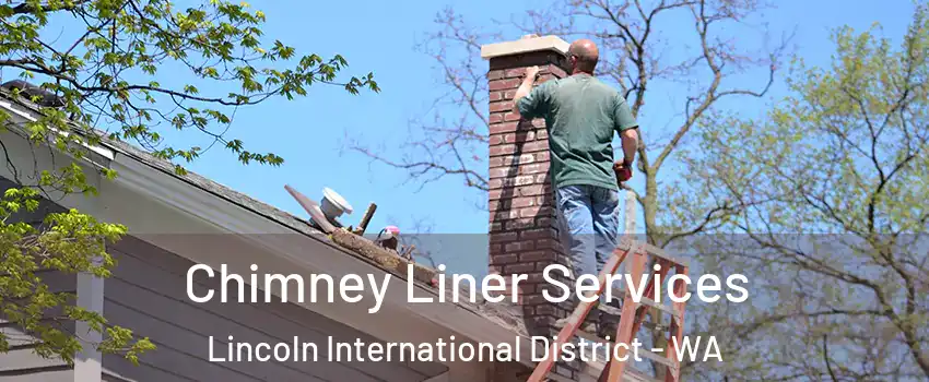 Chimney Liner Services Lincoln International District - WA