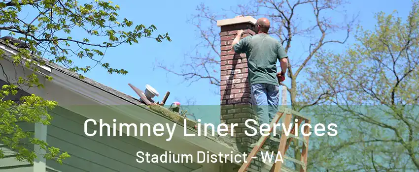 Chimney Liner Services Stadium District - WA