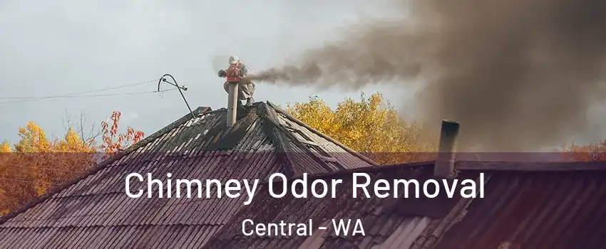 Chimney Odor Removal Central - WA