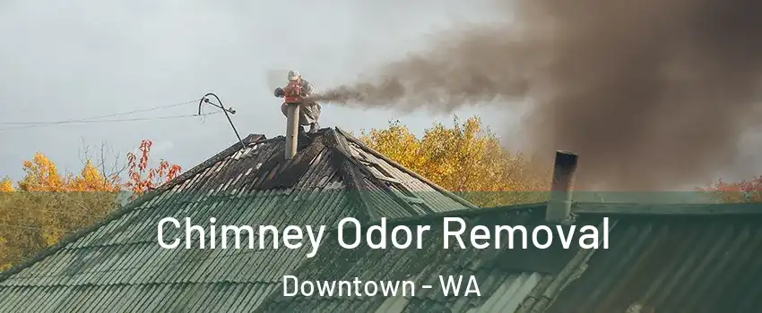 Chimney Odor Removal Downtown - WA