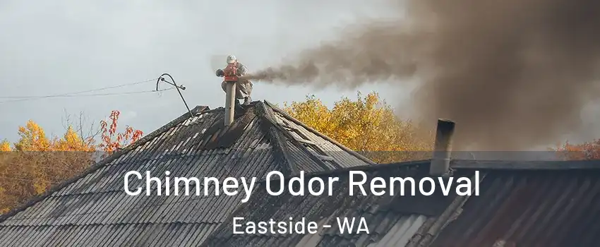 Chimney Odor Removal Eastside - WA