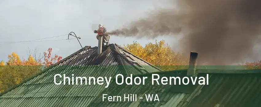 Chimney Odor Removal Fern Hill - WA