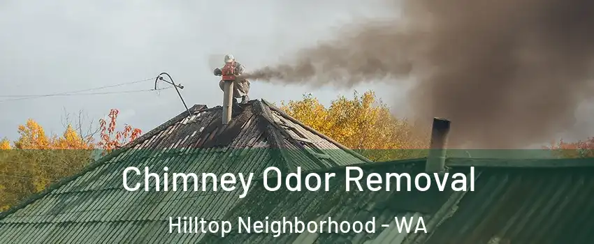 Chimney Odor Removal Hilltop Neighborhood - WA