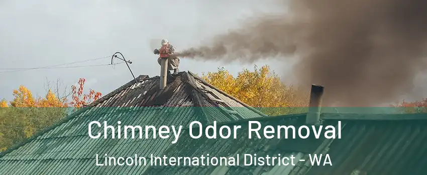 Chimney Odor Removal Lincoln International District - WA