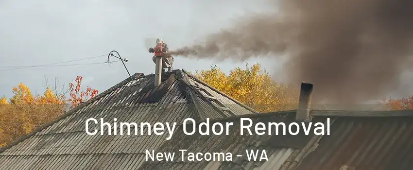 Chimney Odor Removal New Tacoma - WA