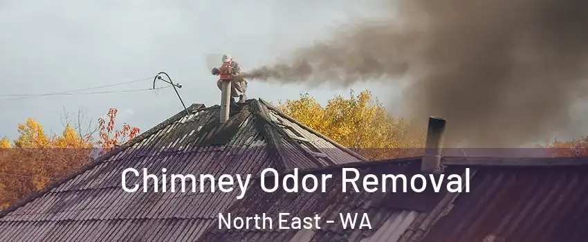 Chimney Odor Removal North East - WA