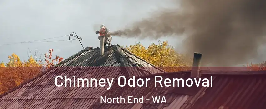 Chimney Odor Removal North End - WA