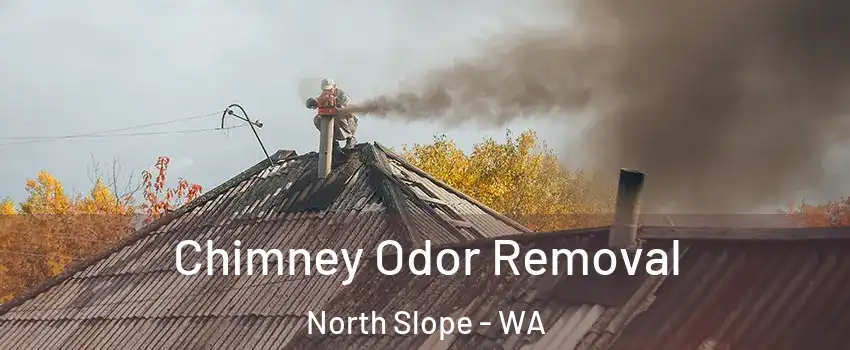 Chimney Odor Removal North Slope - WA