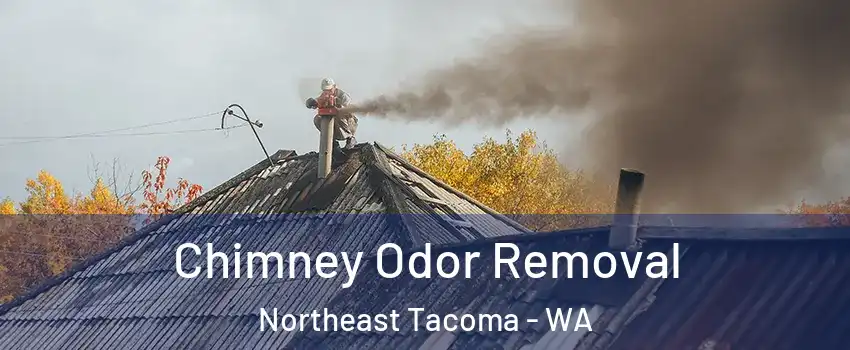 Chimney Odor Removal Northeast Tacoma - WA