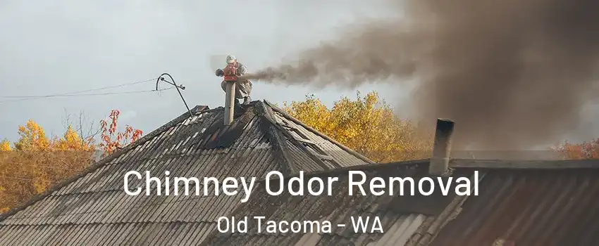 Chimney Odor Removal Old Tacoma - WA