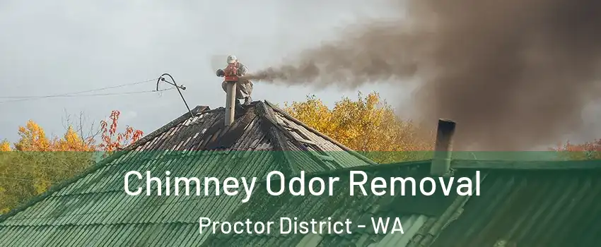 Chimney Odor Removal Proctor District - WA