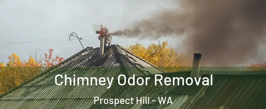 Chimney Odor Removal Prospect Hill - WA