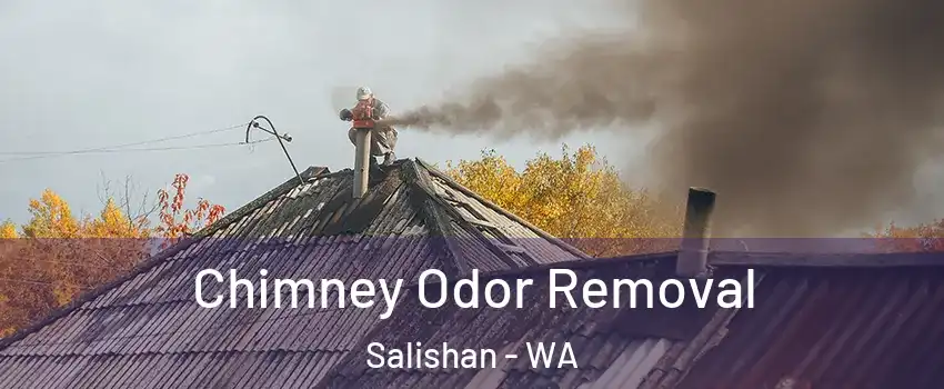 Chimney Odor Removal Salishan - WA