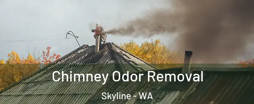 Chimney Odor Removal Skyline - WA