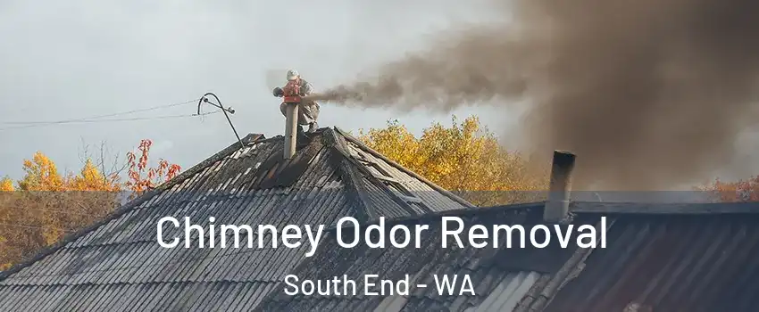 Chimney Odor Removal South End - WA