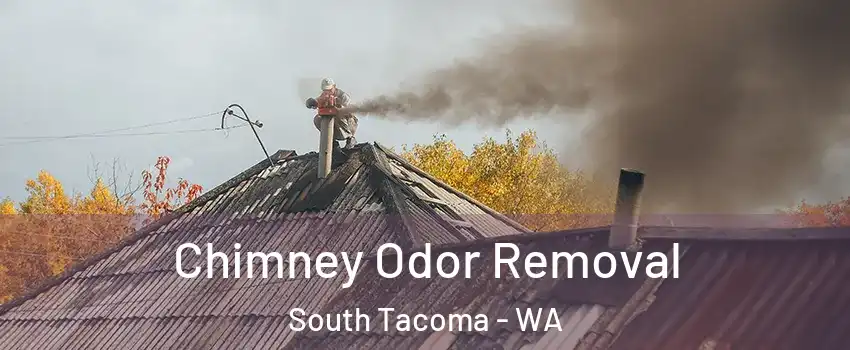 Chimney Odor Removal South Tacoma - WA