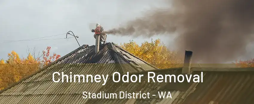 Chimney Odor Removal Stadium District - WA