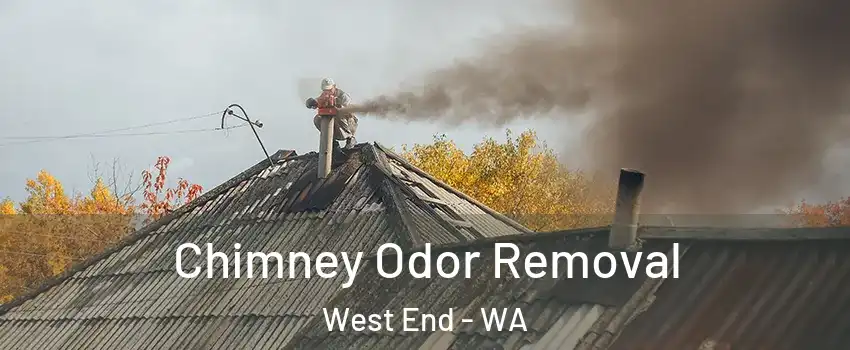 Chimney Odor Removal West End - WA