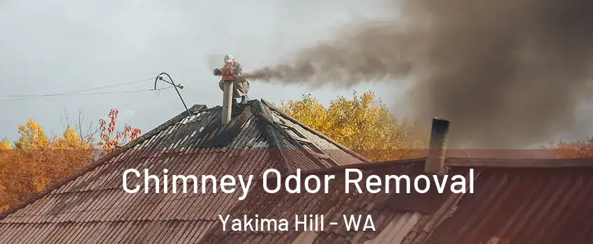 Chimney Odor Removal Yakima Hill - WA