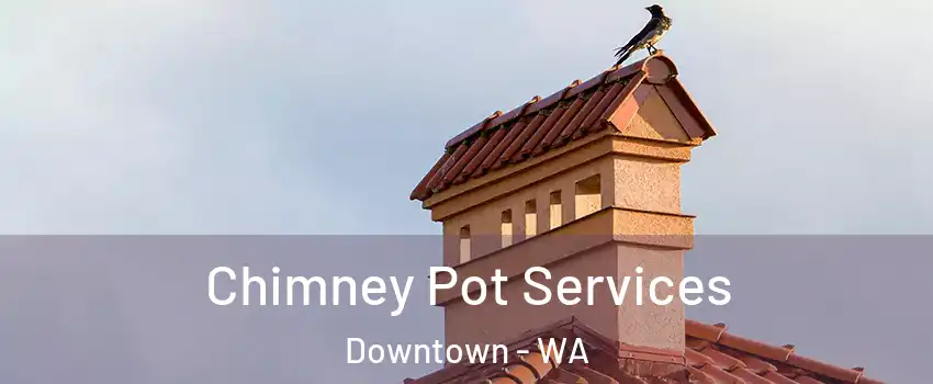 Chimney Pot Services Downtown - WA