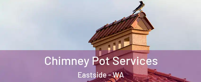 Chimney Pot Services Eastside - WA