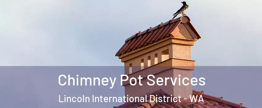 Chimney Pot Services Lincoln International District - WA