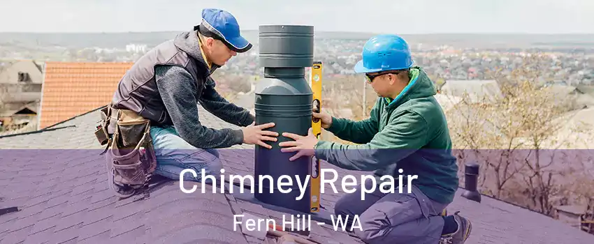 Chimney Repair Fern Hill - WA