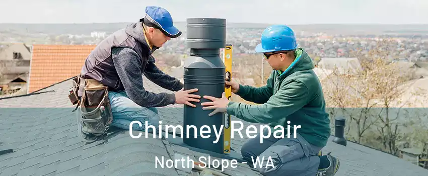 Chimney Repair North Slope - WA