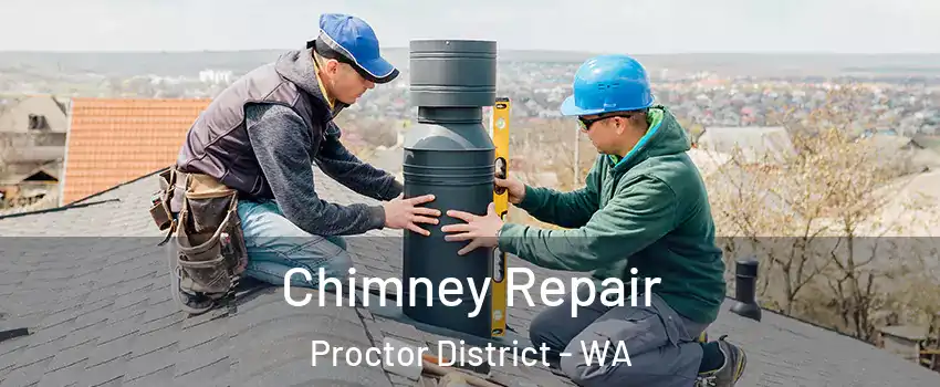 Chimney Repair Proctor District - WA