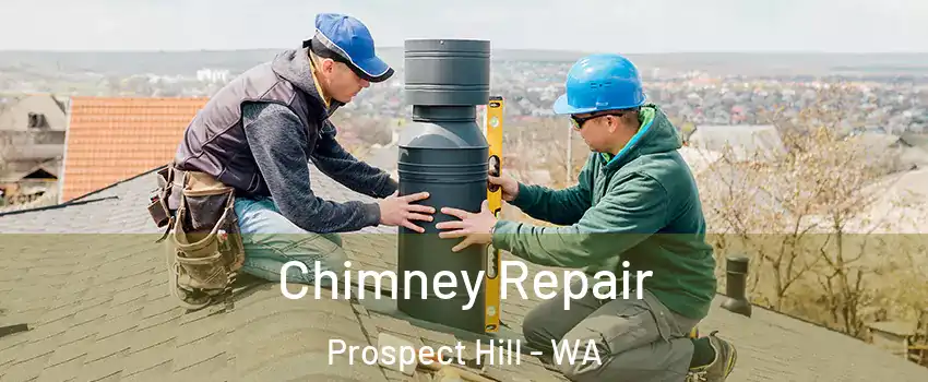 Chimney Repair Prospect Hill - WA